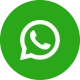 Botão do WhatsApp da Disparo Pro